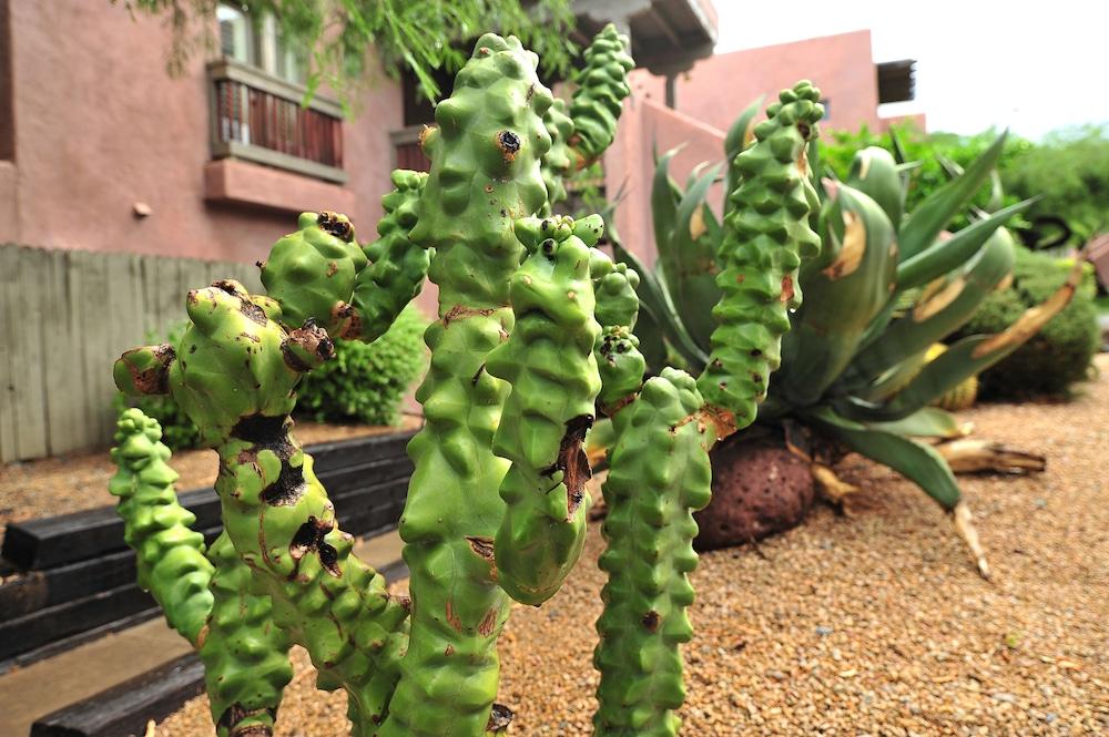 Hilton Vacation Club Rancho Manana Hotel Cave Creek Buitenkant foto