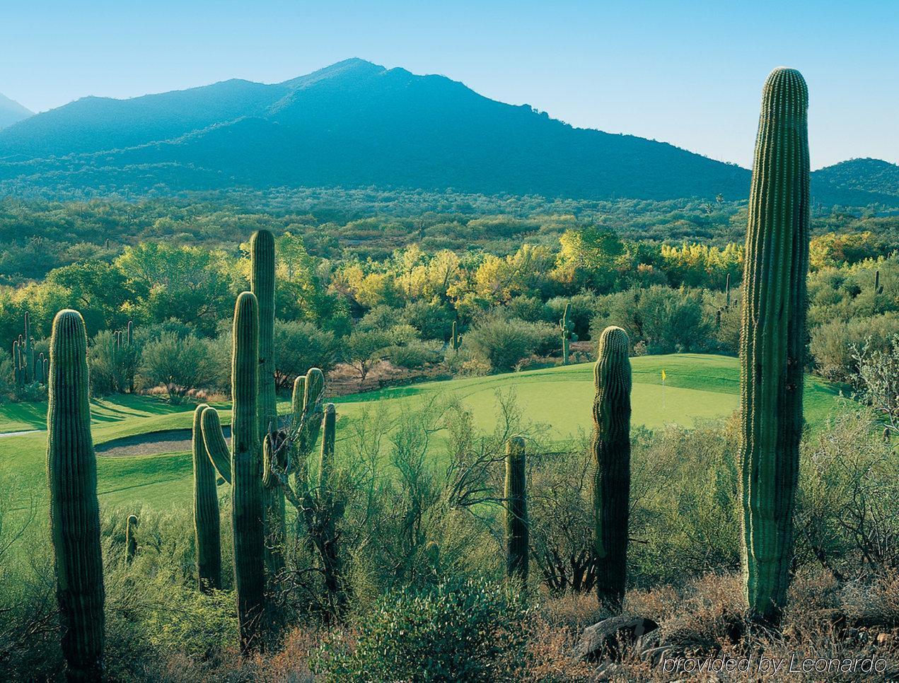 Hilton Vacation Club Rancho Manana Hotel Cave Creek Buitenkant foto